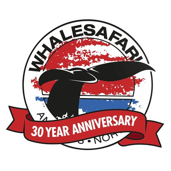 Whalesafari (images d'internet)