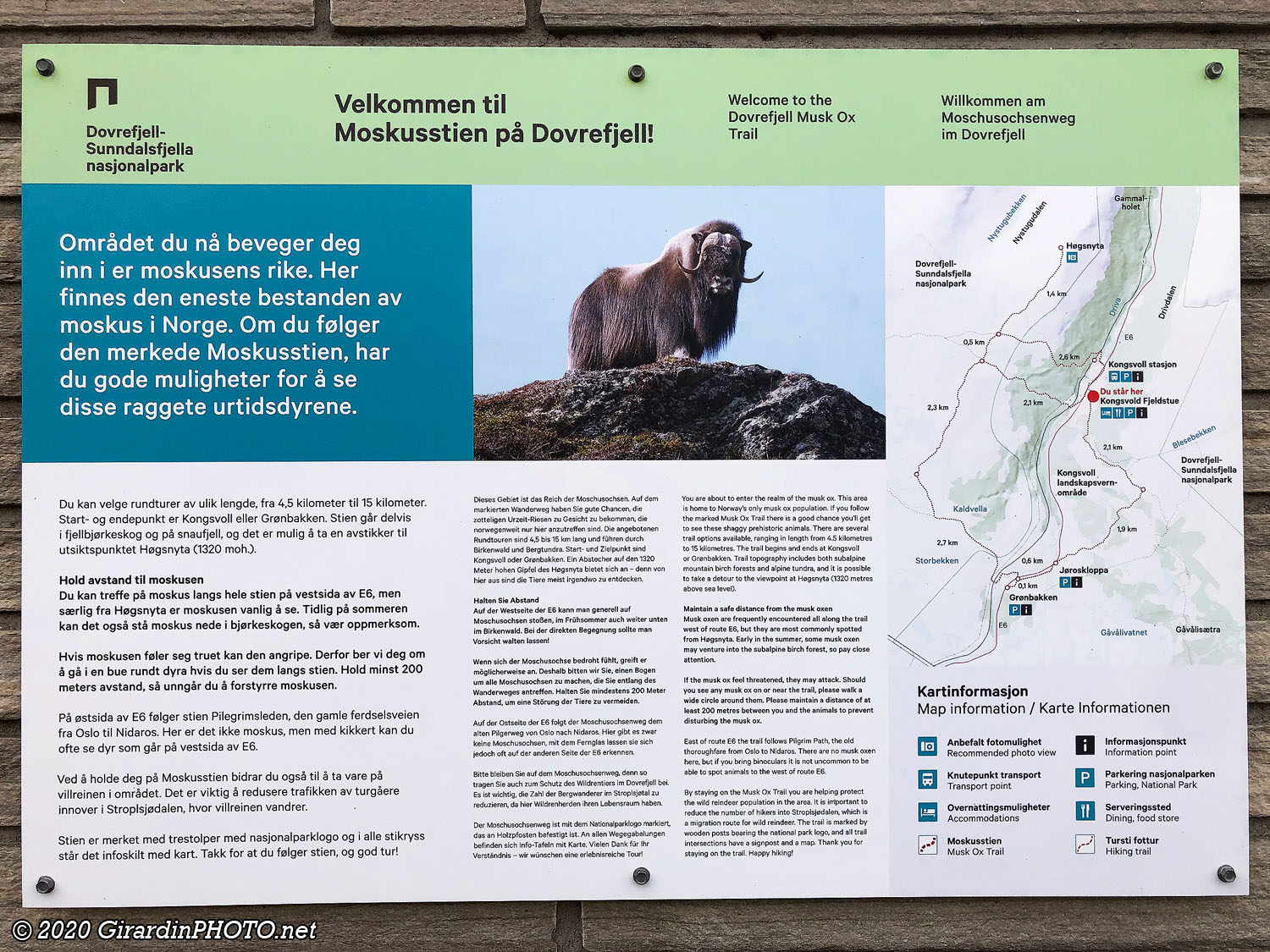 Informations sur le Musk Ox Trail